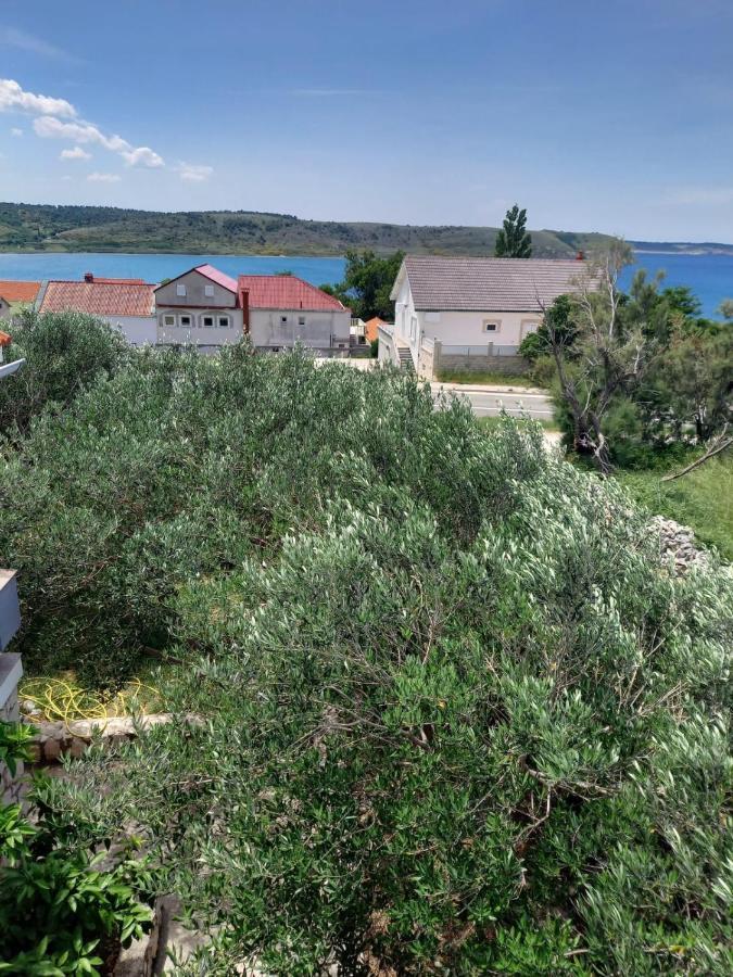 Apartmani Branka Rtina Bagian luar foto